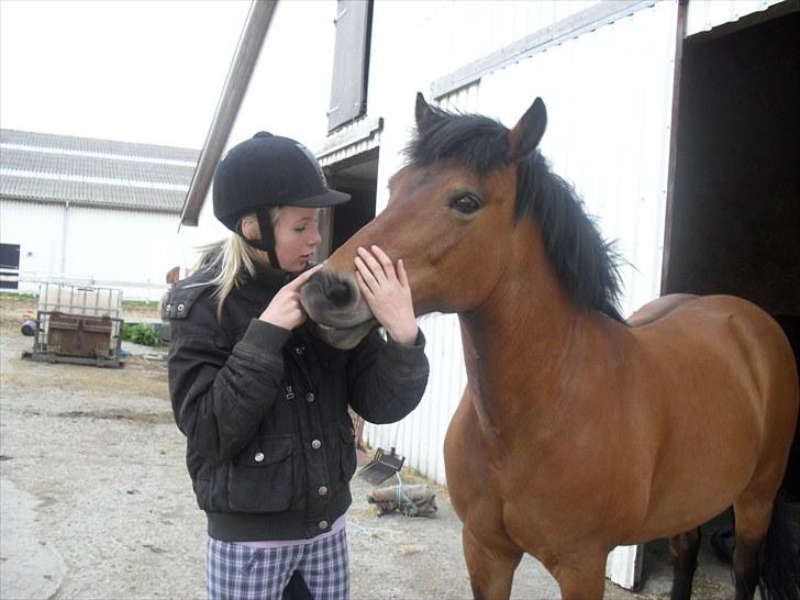 Anden særlig race Bella | gamle part /; - dejlig dag, du er virkelig unik pony! i; (L) billede 15