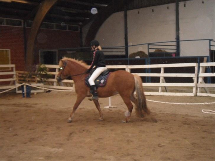 Islænder Sóley fra Lille Nørregård - Opvarmer til første klasse hvor jeg kom på en 1 plads  billede 13