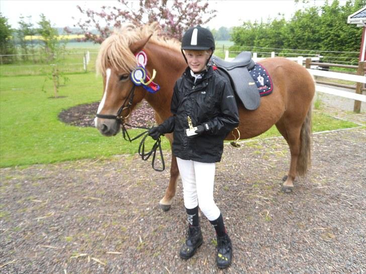 Islænder Sóley fra Lille Nørregård - Kom hjem fra stævne driv hamrende våd! billede 15