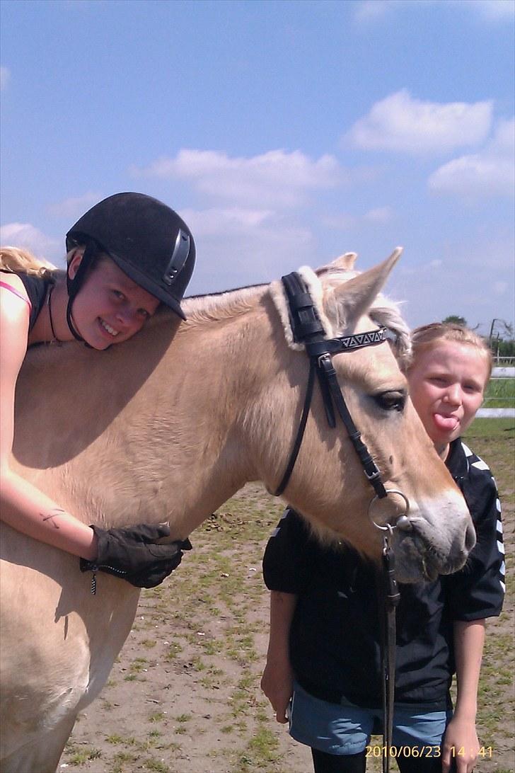 Fjordhest Romeo's Fakir  R.I.P :'( - elsker det billeder mig og fakir ser så søde ud og så skulle Laura lige se sjov ud.. ha ha billede 2