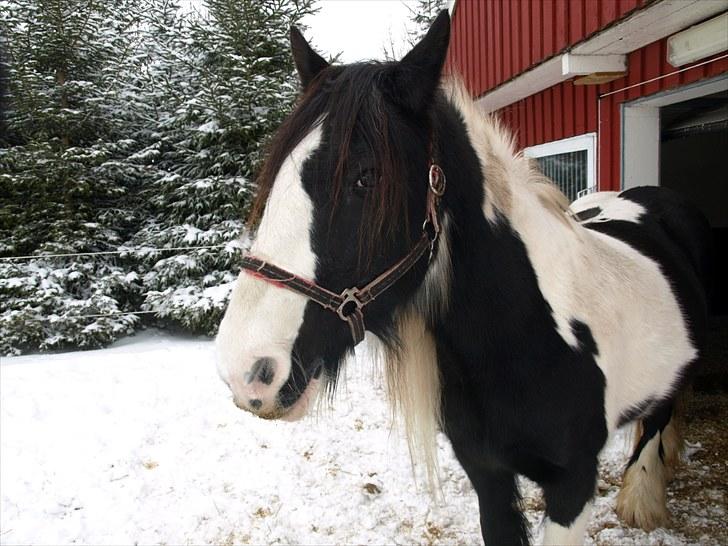 Tinker  Mama Danger. - " Hallo?" . billede 1