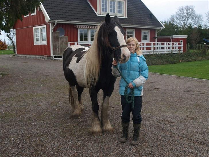 Tinker  Mama Danger. - Jer er da mere intreseret i det græs derovre!! hæ billede 4