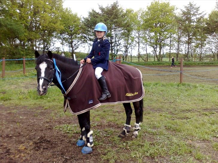 DSP Bæklunds Capone - Naja og Capone vinder B-finalen i LB** på kallehavegård :-) billede 16