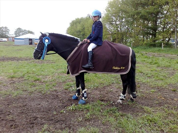 DSP Bæklunds Capone - Naja og Capone vinder B-finalen i LB** på kallehavegård :-) billede 17