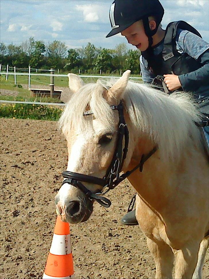 Anden særlig race Trold  (Hjelper) billede 14