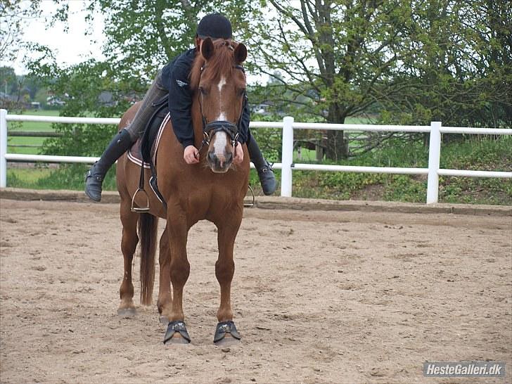 Anden særlig race Fakir.!  - maj 2010 billede 16