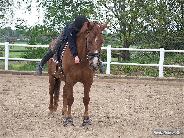 Anden særlig race Fakir.!  - maj 2010.!  billede 17