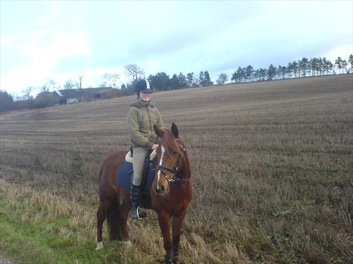 DSP Düval  billede 18