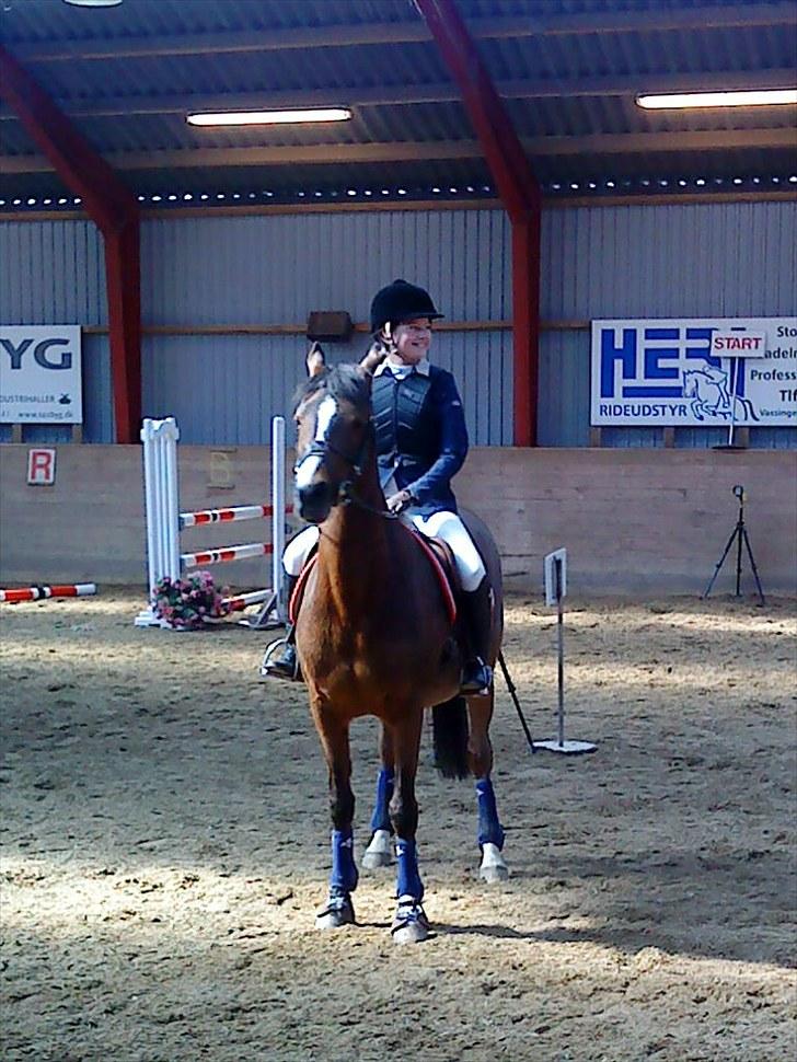 Irsk Sportspony Magic Rose - Mit første stævne på Rose og venter på og få sløjfe <3 <3  billede 16