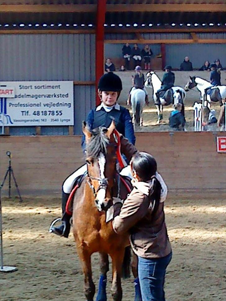 Irsk Sportspony Magic Rose - Rose der vinder sefølig min rose <3 <3  billede 17