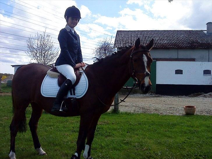 Irsk Sportspony Magic Rose - mig og rose der lige har været til konfimasjon  billede 18