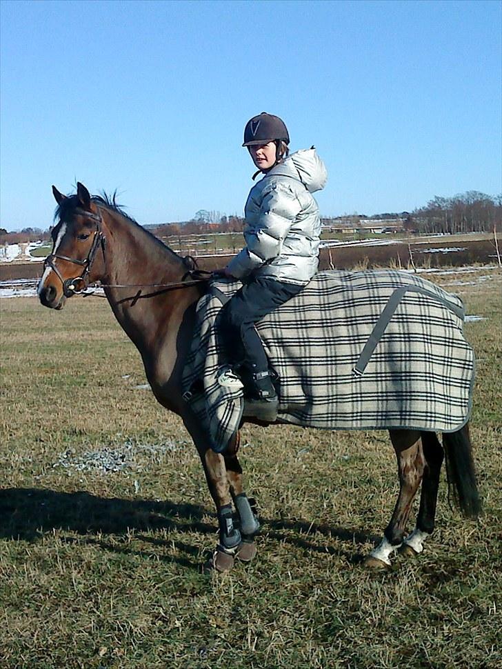 Irsk Sportspony Magic Rose - mig og Rose der er ude på marken en af de første dage jeg har hende  billede 14