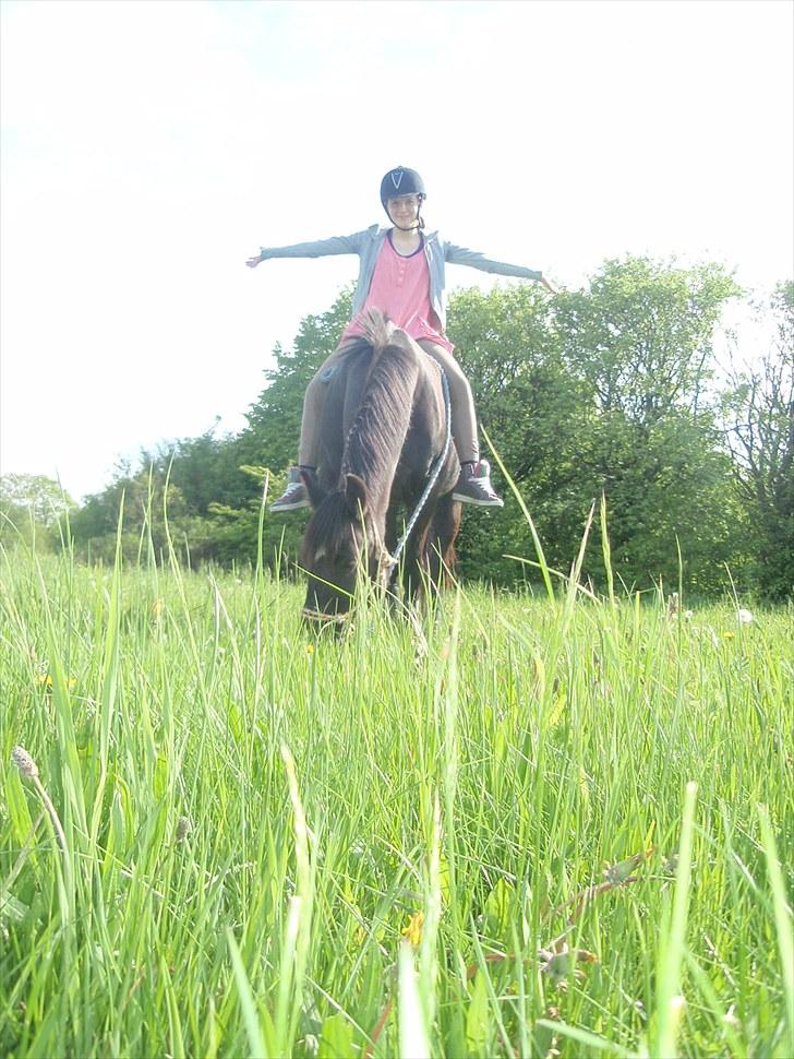 Anden særlig race Stella <33 R.I.P billede 18