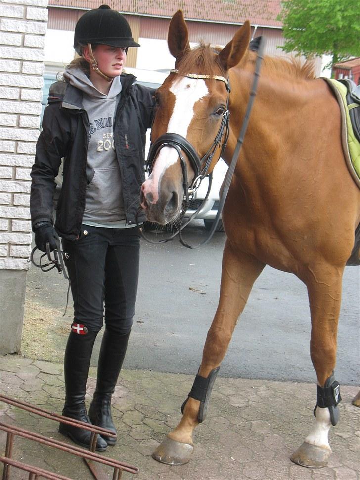 Holstener Clemento 2 - R.I.P :'( billede 12