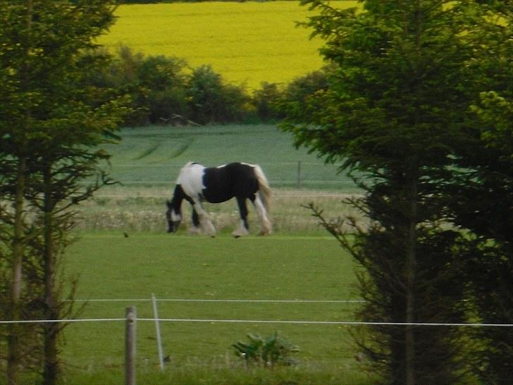 Tinker  Mama Danger. - Jumse, Jumse GRÆS! billede 5