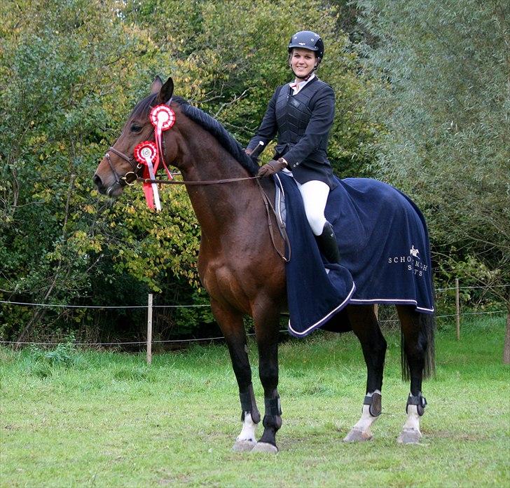 Dansk Varmblod Comtess - Velkommen til Comtess´ profil. På billedet: 1. plads i begge klasser på HØS. billede 4