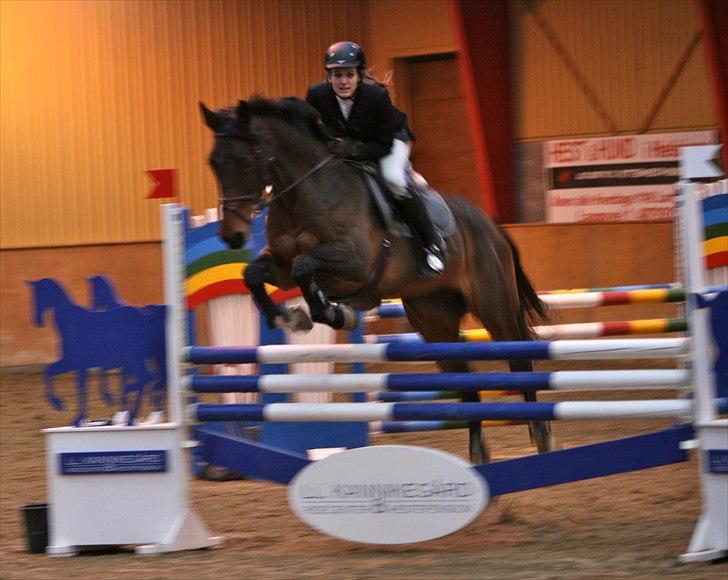 Dansk Varmblod Comtess - C-stævne Hillerød - 5. plads ud af 44 i LB2** (110 cm) billede 7