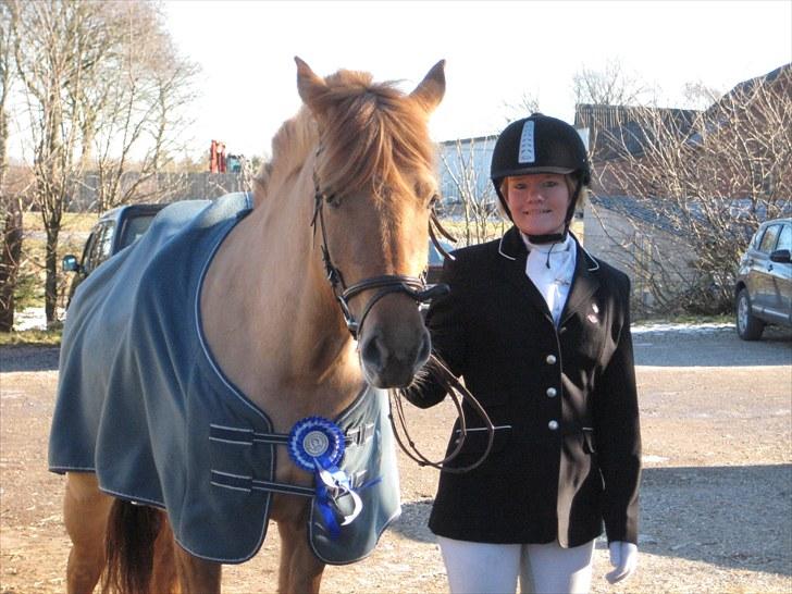 Anden særlig race Dreamhorse's Caf'e Creamy  - Billedet er fra Creamys første stæve hvor hun fik en fin 2. plads  billede 6