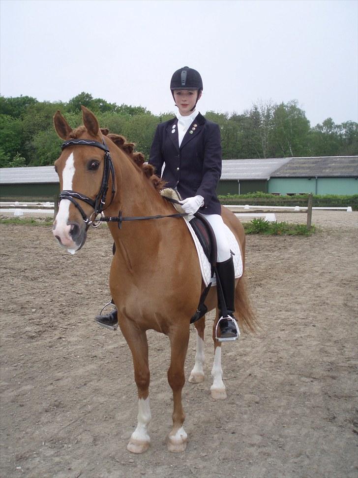 Anden særlig race Tots Ramik billede 13