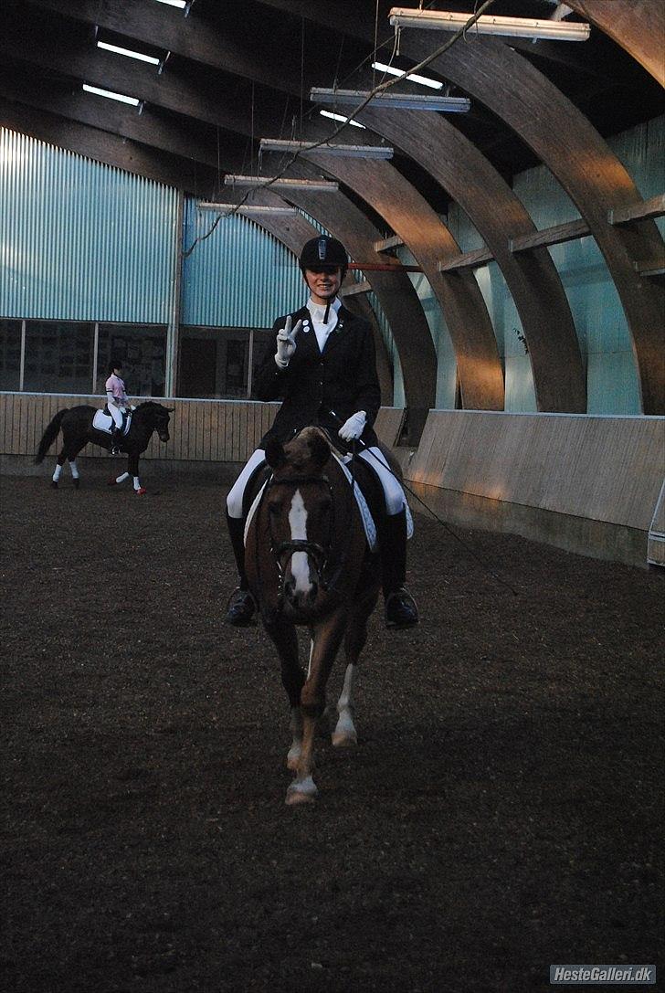 Anden særlig race Tots Ramik billede 16