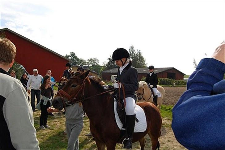 Anden særlig race tanja R.I.P - 2008 billede 14