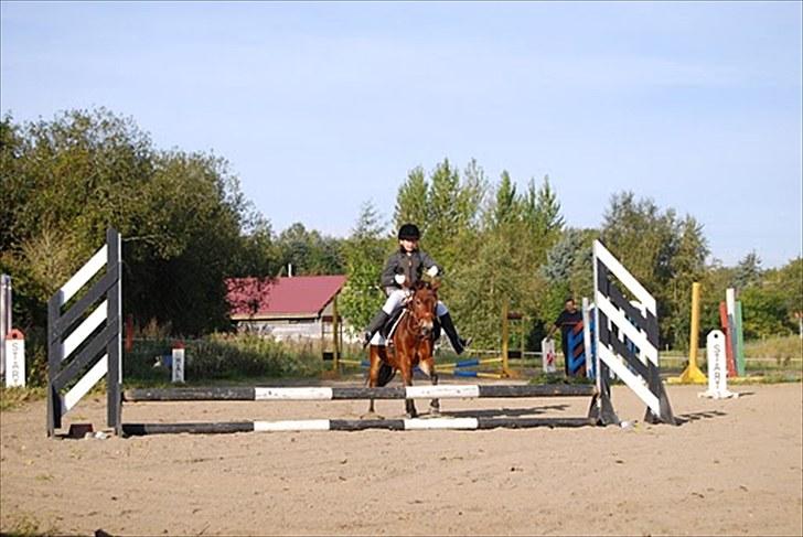 Anden særlig race tanja R.I.P billede 15