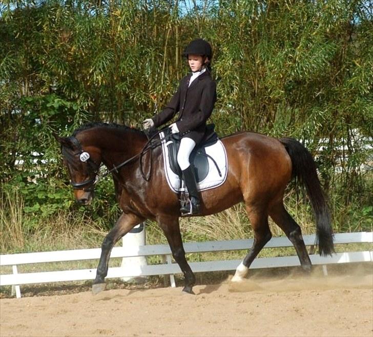 Anden særlig race Bakkelys Felur *Solgt* - Taget af Louise Mølby :D billede 16