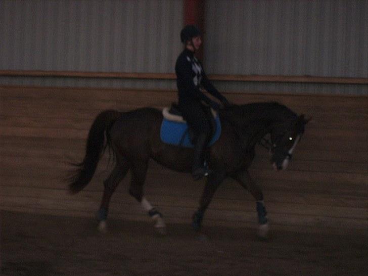 DSP Sejerøs Jackie (udlånt) billede 10