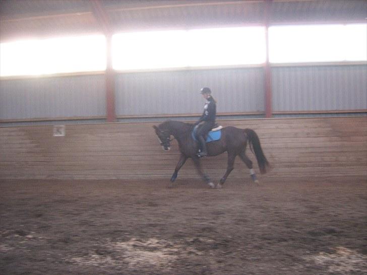 DSP Sejerøs Jackie (udlånt) billede 11