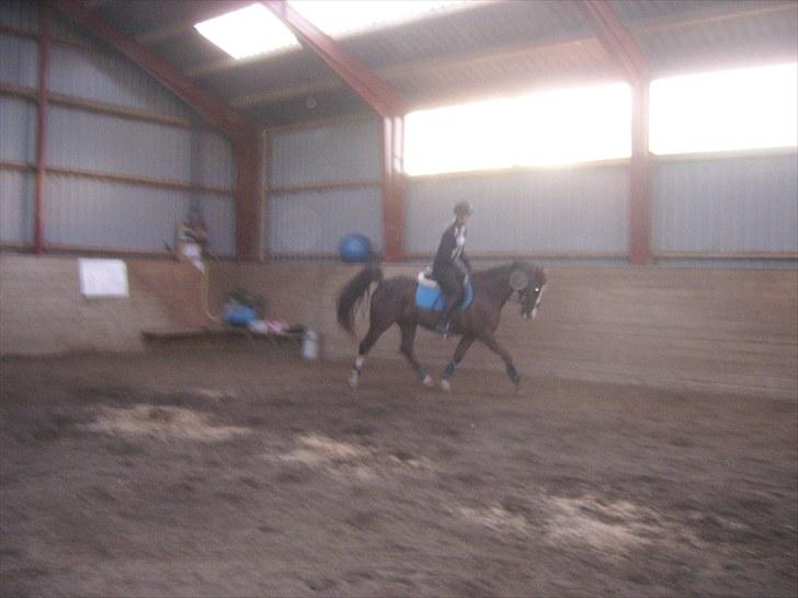 DSP Sejerøs Jackie (udlånt) billede 12