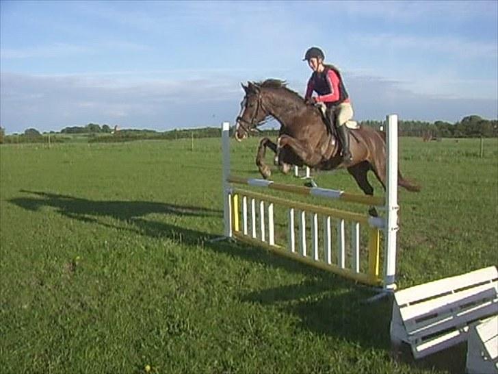 DSP Sejerøs Jackie (udlånt) - 31/5 -10 billede 13