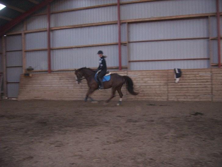 DSP Sejerøs Jackie (udlånt) - Maj 2010 billede 15