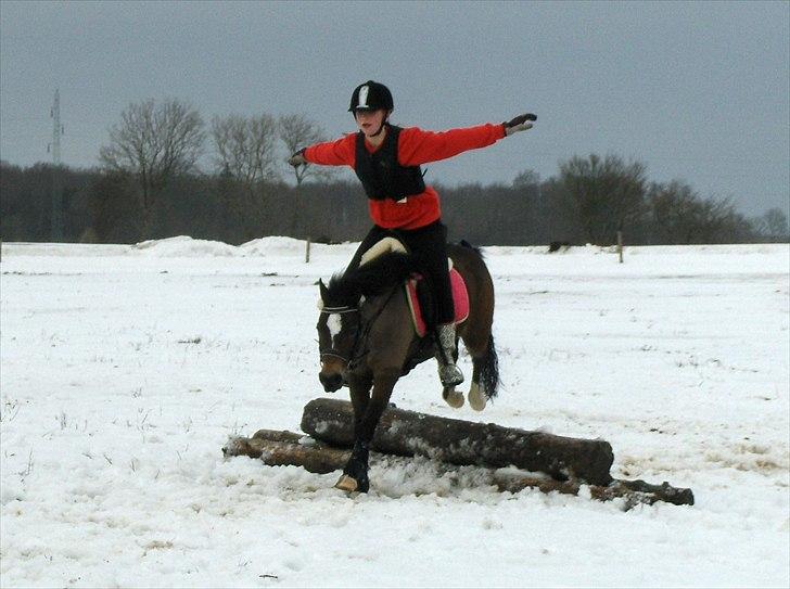 Welsh Pony (sec B) Assemoses Chennel - vinterferien 2010 nelle og jeg <33 elsker dig nelle du er så FANTASTISK!!!! :* dig og mig for altid! :* billede 9