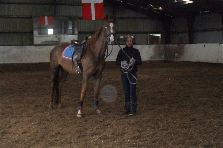 Anden særlig race Safir  - Mirjam og Safir <3  billede 13