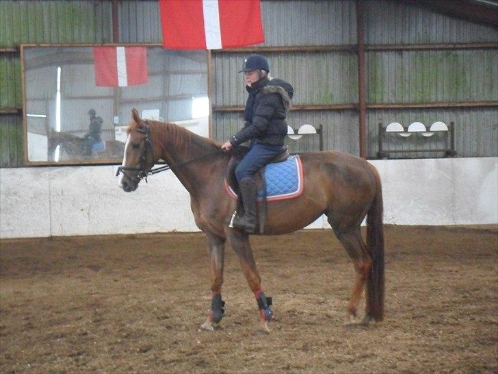 Anden særlig race Safir  - min lille stjerne <3  billede 19