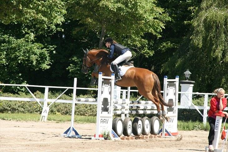 Holstener Clemento 2 - R.I.P :'( - <3 foto: Sarah/ Ida billede 14