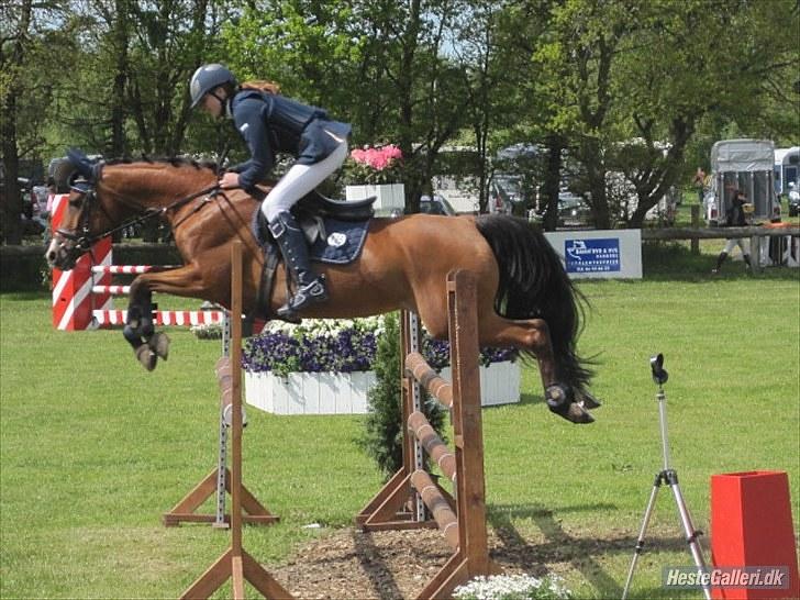 Anden særlig race Flying Filuca! RIP.;( - L/M championat på kallehavegård!:D<3 2. kval.U-LA**    0 fejl!!!<3 billede 10