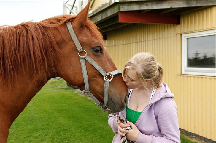 Frederiksborg Lucy billede 11