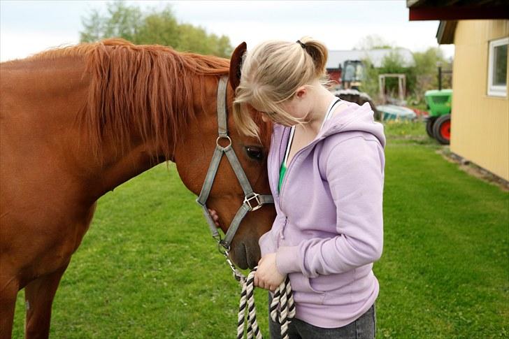 Frederiksborg Lucy billede 12