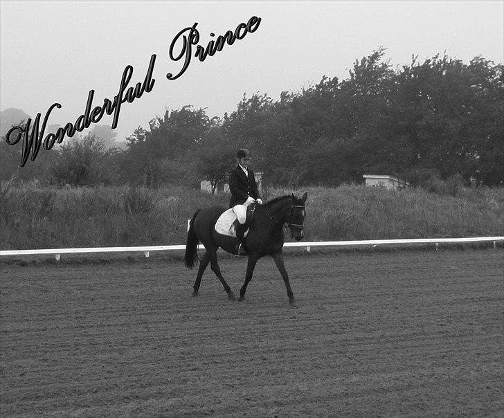 Anden særlig race Manu Af Øster haugård - Velkommen til Manus profil ;) Min lille Bamse <333  billede 1