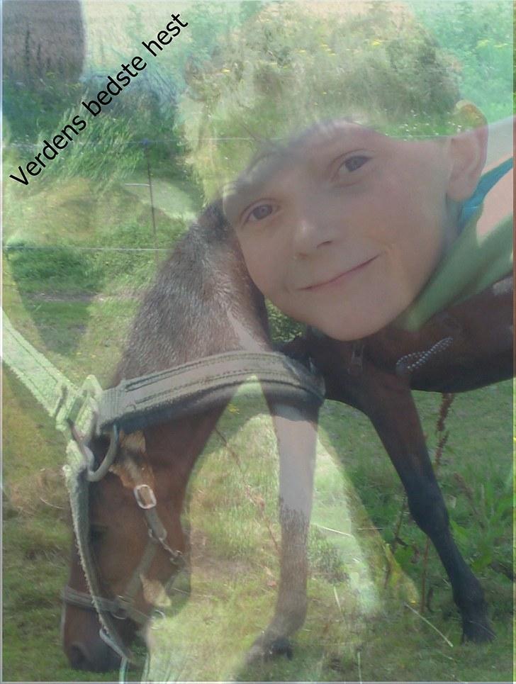 Anden særlig race Manu Af Øster haugård - I er som skabt for hinanden.... billede 6