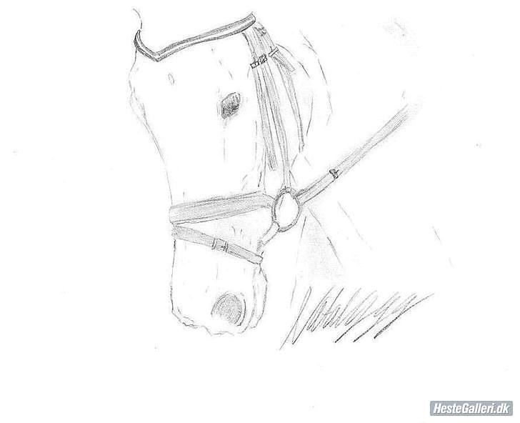 Anden særlig race Kathy<333 billede 19