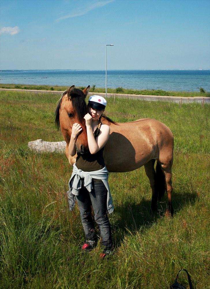 Anden særlig race MiTho's Codia - Sommer 2010 billede 15