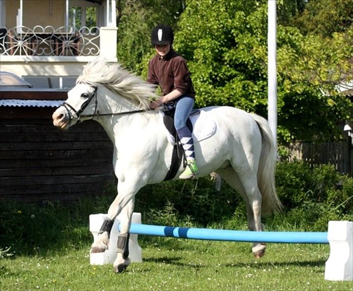 Connemara walentin billede 9