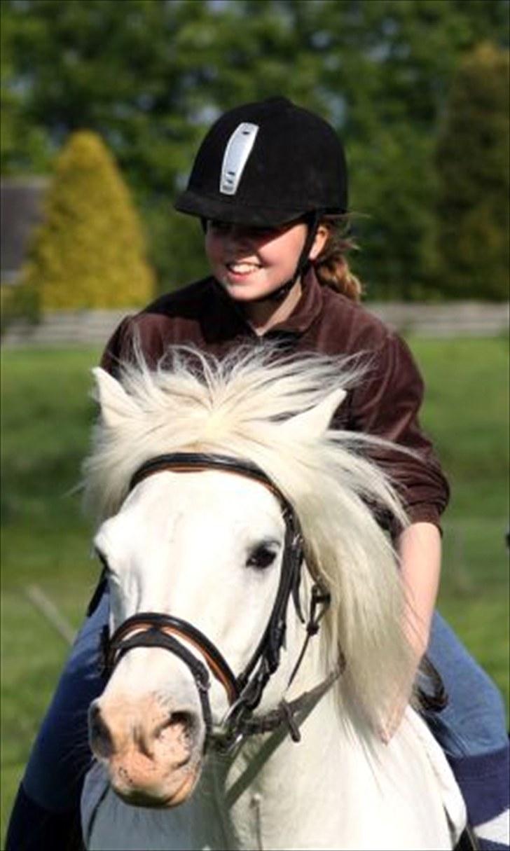 Connemara walentin billede 11