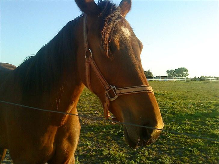 Traver ohaio billede 1