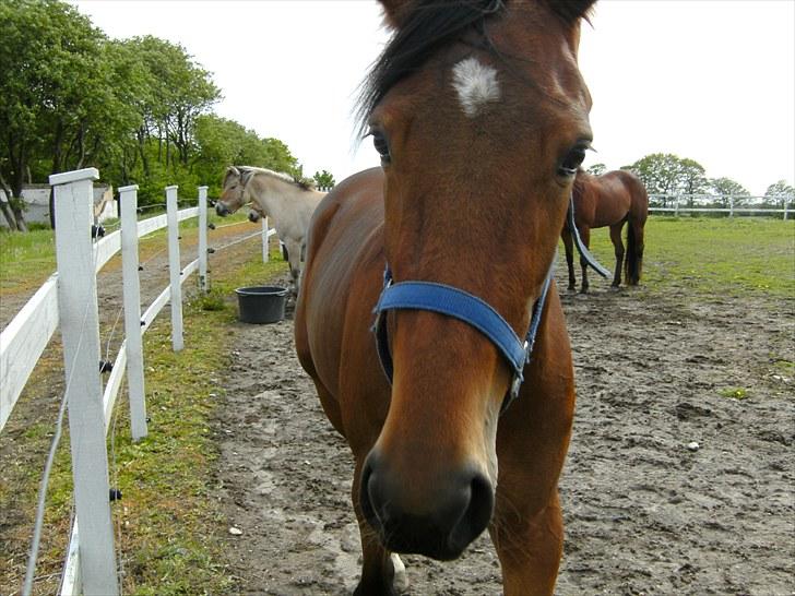 Traver ohaio billede 3