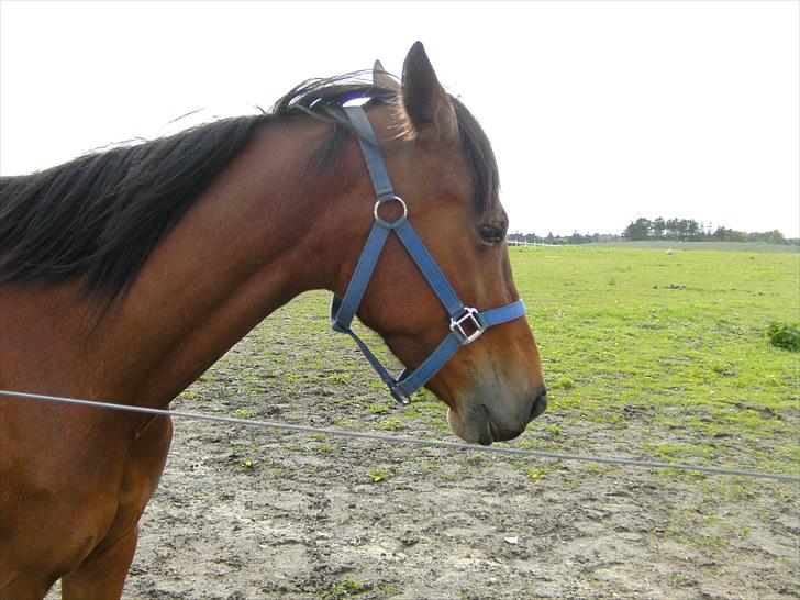 Traver ohaio billede 4