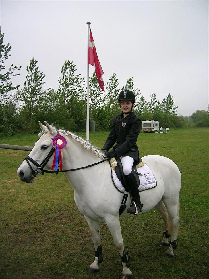 Anden særlig race lady Solgt:'( - lady!!!<333 billede 3