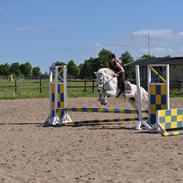 Anden særlig race  Tinka<3tidl. halvpart:(